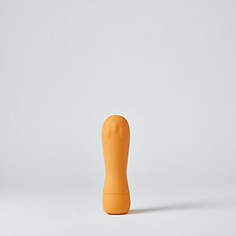 The Surfer - Vibrator